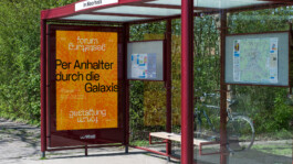  Esther Driehaus, Portfolio