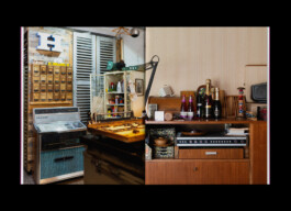  Esther Driehaus, Portfolio