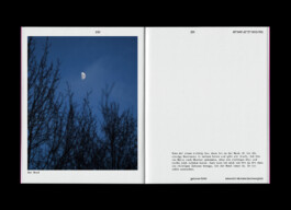  Esther Driehaus, Portfolio