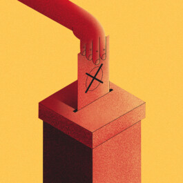  Esther Driehaus, Portfolio