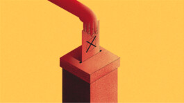  Esther Driehaus, Portfolio