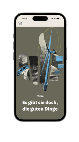 Esther Driehaus, Portfolio