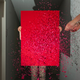  Esther Driehaus, Portfolio