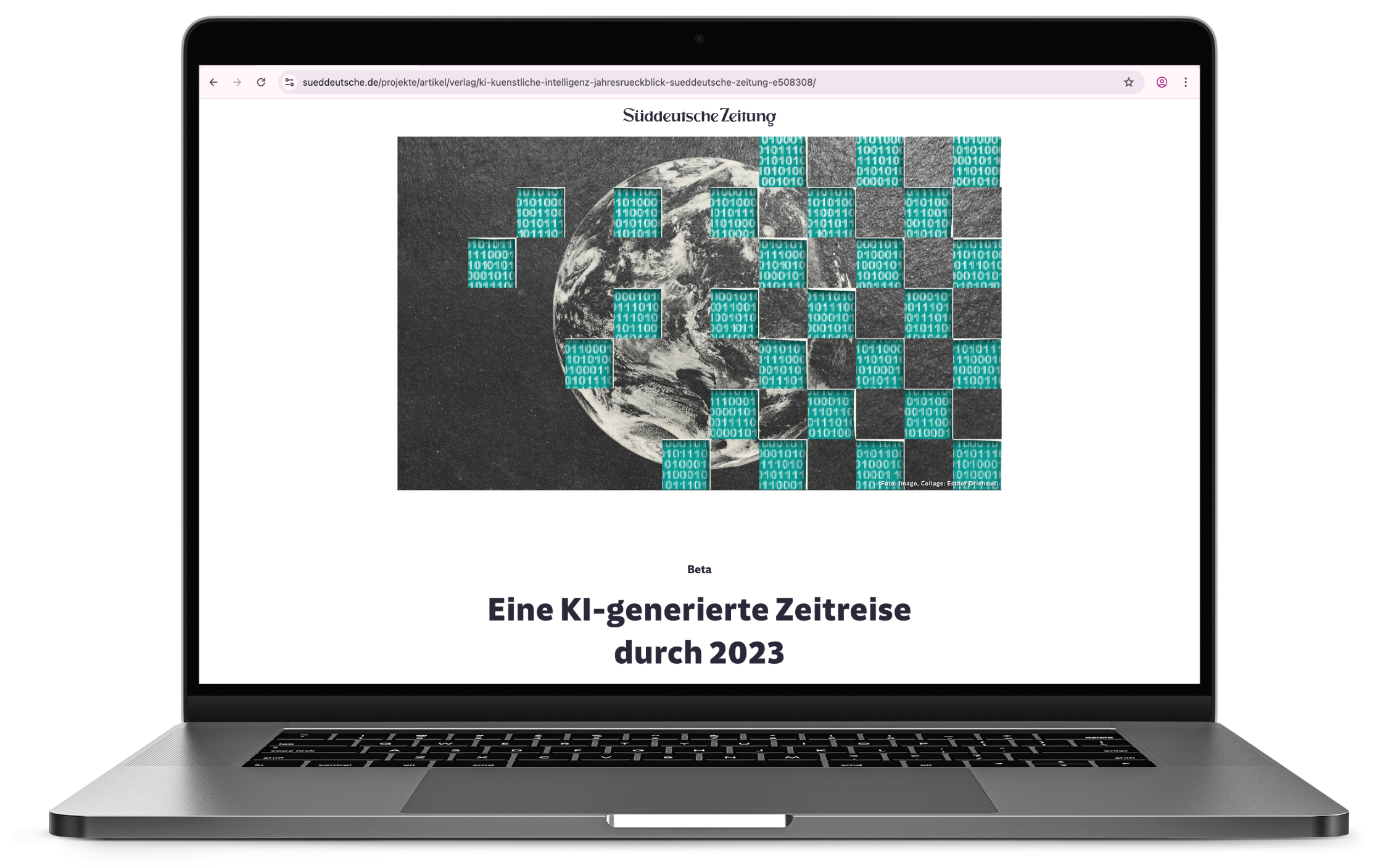 Esther Driehaus, Portfolio