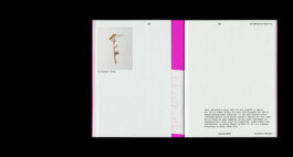  Esther Driehaus, Portfolio